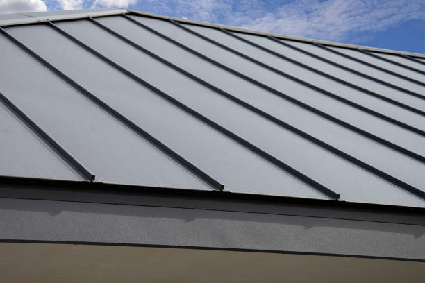 Best Solar Panel Roofing Installation  in Rice Lake, WI